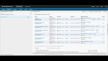 IBM Business Intelligence Pattern with PM Anthony Schofield