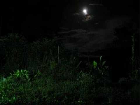 Sleepsong by Secret Garden