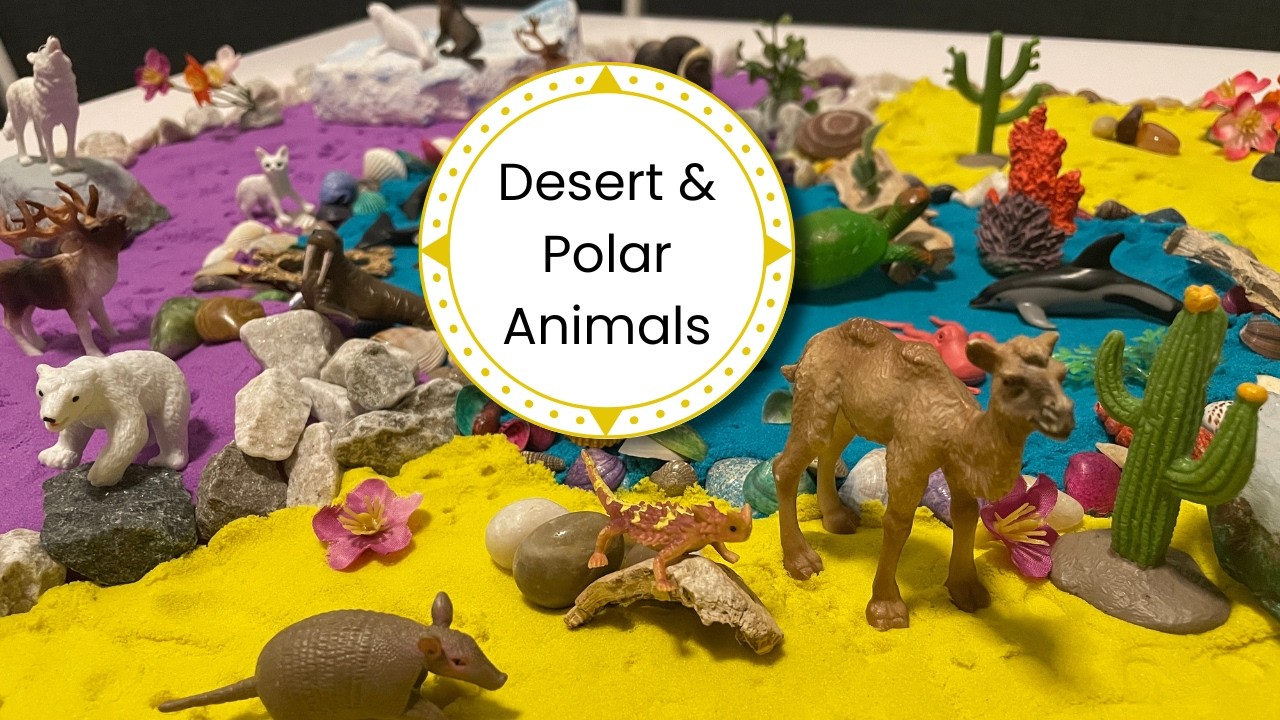 Meet the Desert & Polar Animals | Diorama Build for Kids - YouTube