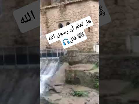 قال رسول الله ﷺ اكسبلور المصحف لايك Shortvideo معلومات صلوا على النبي