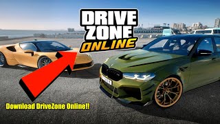 How to Download Drivezone Online Without VPN!! screenshot 5
