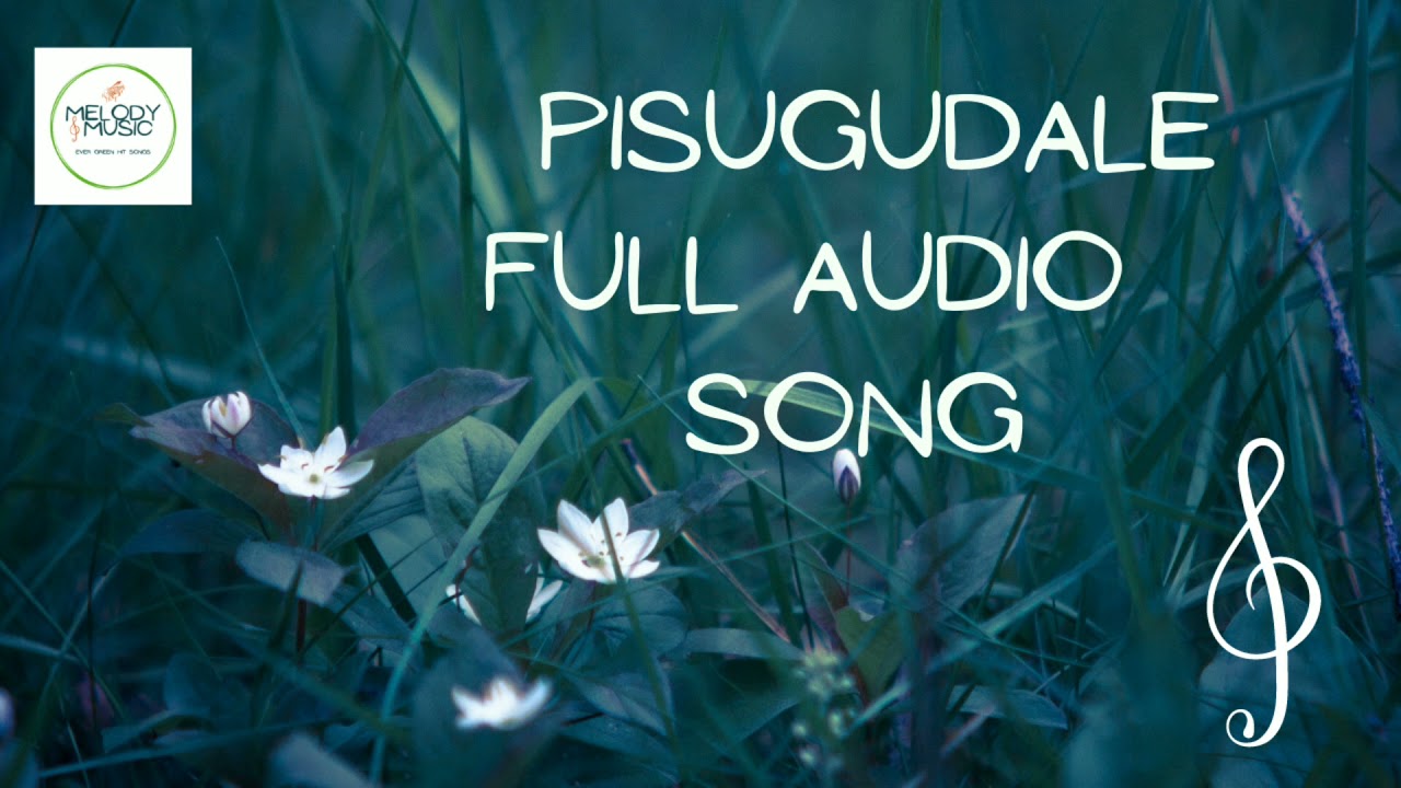 Pisugudale Kannada Song Audio Song  Circus Movie