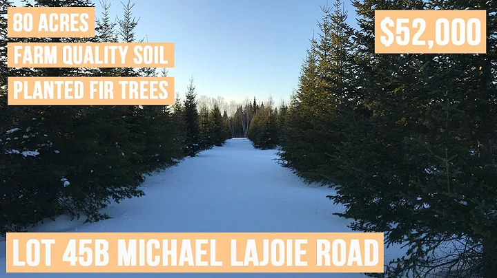 Christmas Tree Farm Country Home Site | MAINE REAL ESTATE