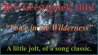 Bee Gees Quick Hits! “Voice in the Wilderness” A little jolt, of this song classic.