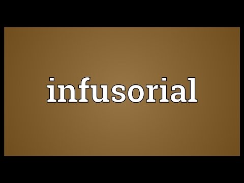 Header of infusorial