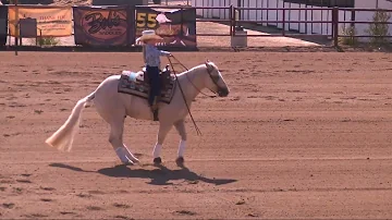 Promiss Larson and Leo Walk Trot Reining