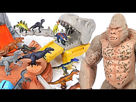 Giant Rampage King <strong>Kong</strong> appeared! Transform <strong>into</strong> Hulk and save little dinosaurs! | DuDuPopTOY