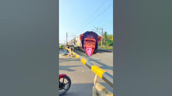 Chimpanzee Headed Train skip Railgate #shorts