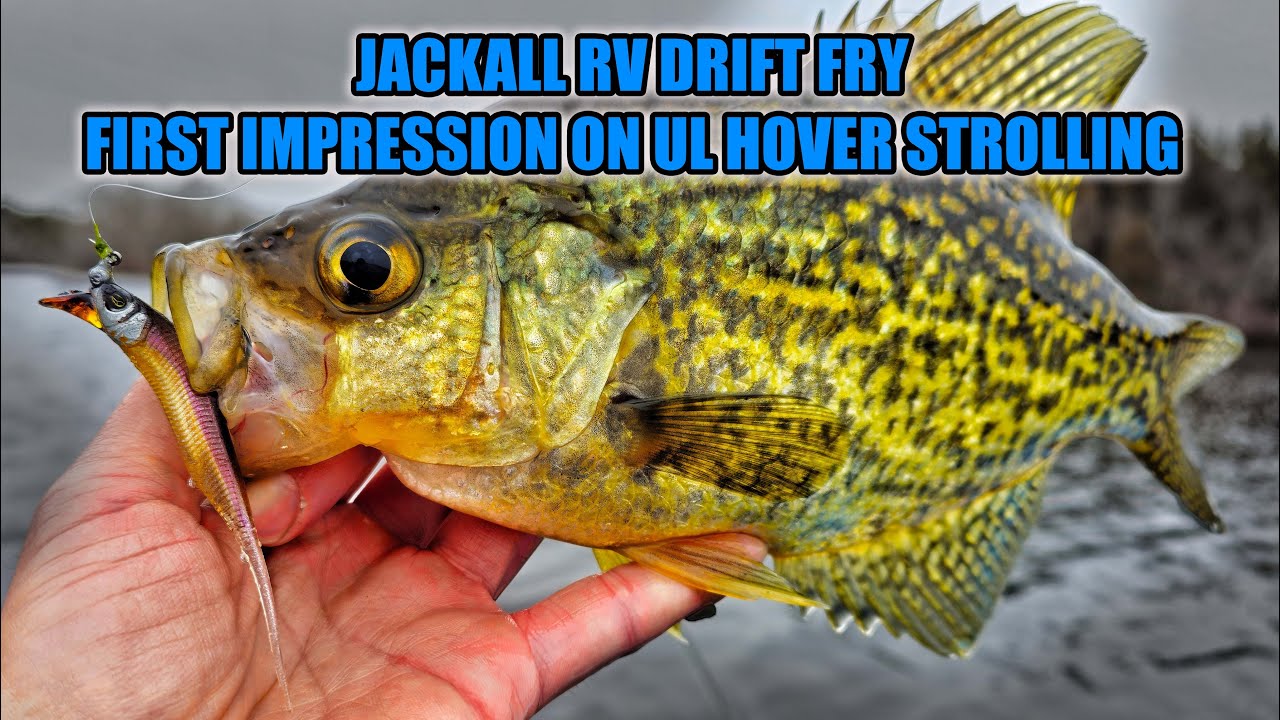 Search Jackall%20baits Fishing Videos on