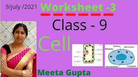 class - 9 worksheet - 3 science /science class - 9 worksheet - 3 /English Medium
