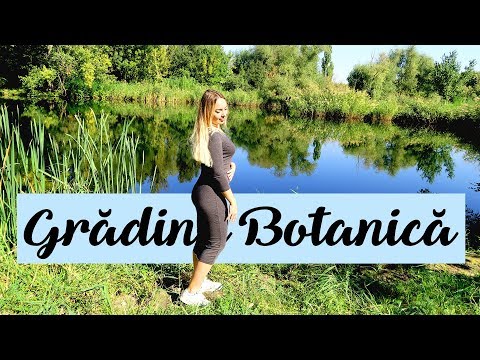 Video: Grădina Botanică Nikitsky