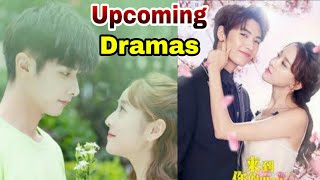 Zhao Yi Qin (My Girl Chinese Drama Actor) | Upcoming Dramas | Must Watch | IBBI CREATOR