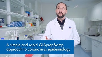 A simple and rapid QIAprep& approach to coronavirus epidemiology
