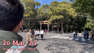 Day 5 in Japan Tokyo Meiji Jingu Zakuzaku harajuku Hinoya Curry Akihabara Gyu KatsuIch Ni San