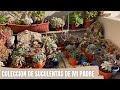 Colección de Suculentas de mi Padre | Actualización y Nombres