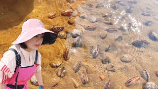 [ENG SUB] Xiao Zhang is rushing to the sea. Blood clams lie in a lot of sand  with octopus in the h