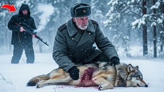 видео: Ветеран тайги против охотников одна душа спасает другую картинка: Ветеран тайги против охотников одна душа спасает другую