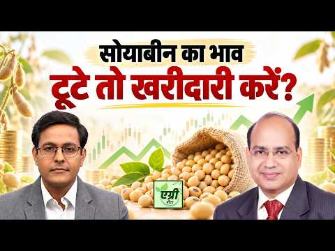 Agri News: शॉर्ट टर्म में क्या है सोयाबीन का प्राइस आउटलुक?