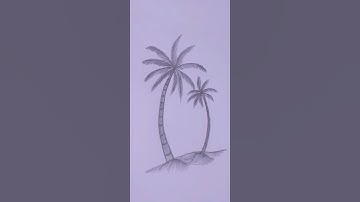 How to draw Palm Tree #drawing #satisfying #tutorial #art #howtodraw #youtubeshorts #shorts