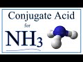 Ammonia and Water Reaction Concepts
