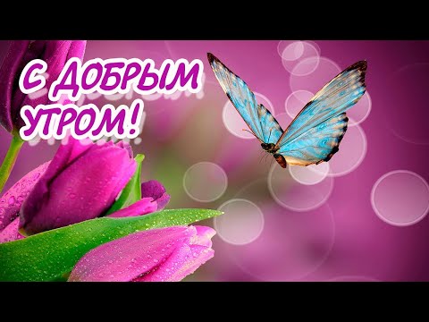 С Добрым утром!🌞 Самое красивое пожелание Доброго Утра!🌞 /Good morning!🌞