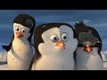 DreamWorks Madagascar | Thats Disgusting! | Penguins of Madagascar Clip