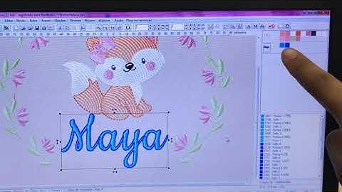 Aprenda de forma RÁPIDA, como fazer contorno em nomes no Embird e outras dicas de edição!