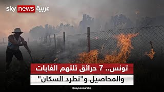 تجدد الحرائق شمال غربي تونس وإجلاء معظم سكان بلدة ملولة في طبرقة