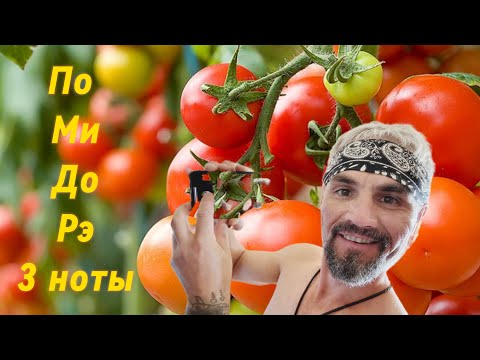 +45 Помидоры сохнут!Вода из под земли!