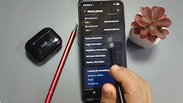 Samsung Galaxy A17 5G | How to Enable USB Debugging | Tutorial for Developers and Advanced Users