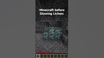 Minecraft before Glowing lichen... #minecraft #update #annoying #diamond