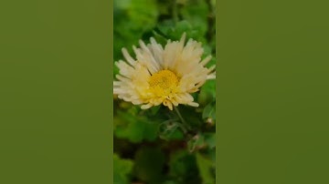 how to lightroom photo editing new background blur photo editing snapseed lightroom cal chachini