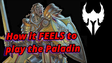 How it FEELS to play the Paladin. D&D