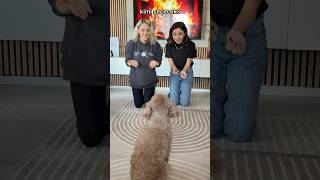 barbie’nin seçimi 💖💖