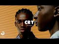 [FREE] Afrobeat Burna Boy x Rema Type Beat - "CRY"