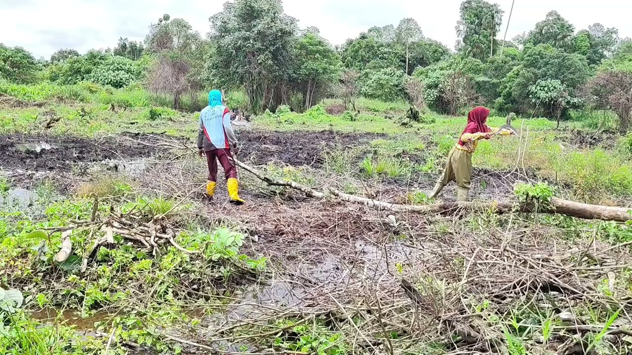 MELANJUTKAN PEMBERSIHAN TANGGUL BELAKANG 