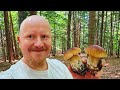 Poland is Beautiful - Quick Mushroom Picking