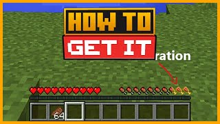 🟨 HOW to SEE the FOOD and PLAYER SATURATION in MINECRAFT