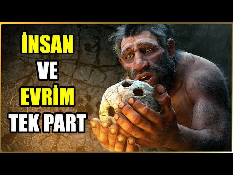 İnsanın Mənşəyi: Təkamül Səfəri Sənədli Film | BİR PARÇA