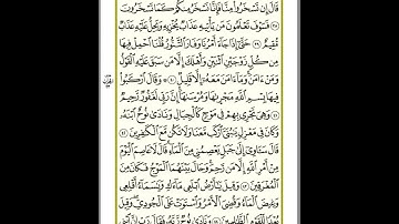 الورد اليومي صفحة 226 سورة هود من الايه 38 الى 45