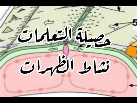 حصيلة التعلمات نشاط الظهرات صفحة 30 علوم طبيعية سنة ثالثة متوسط