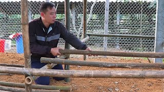 Jony's difficulties when moving to the new farm.