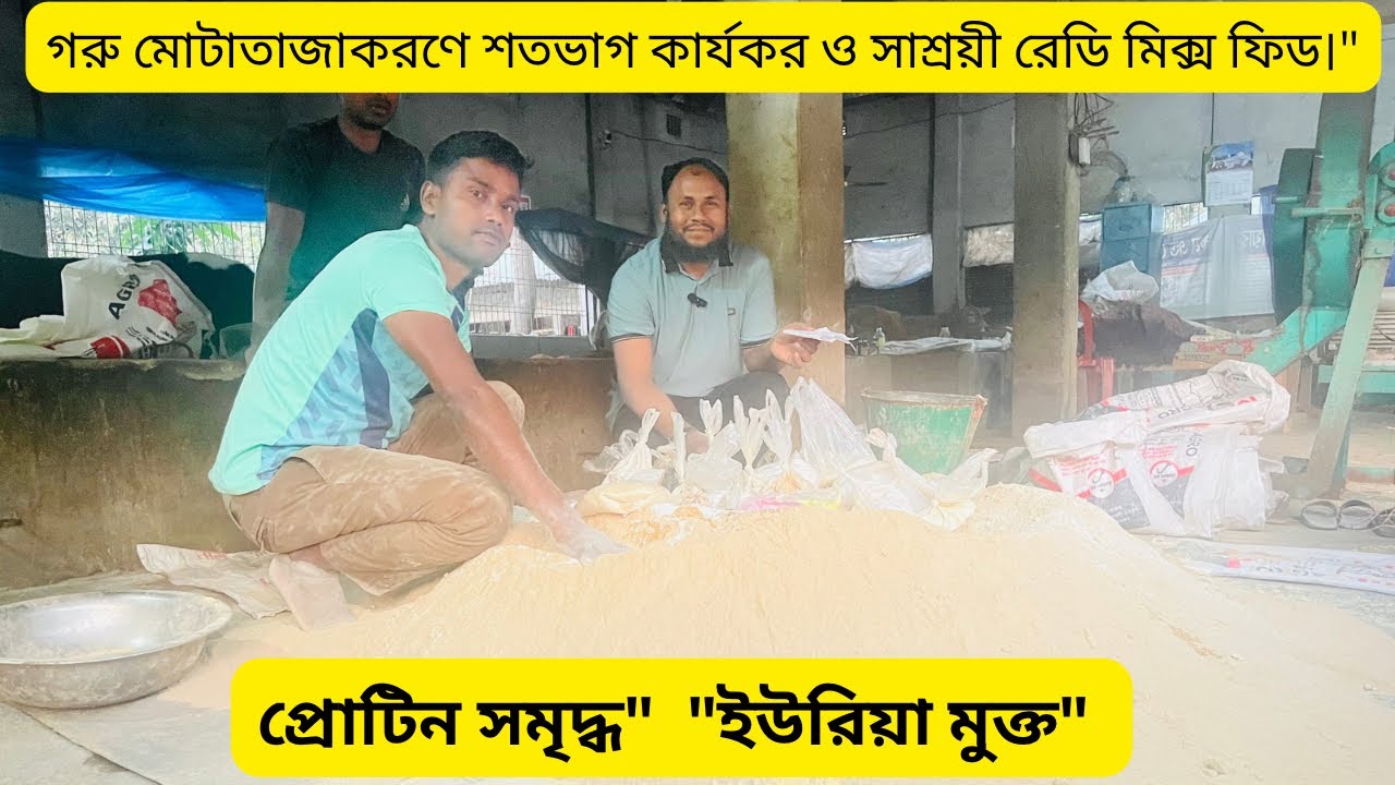 গরু মোটাতাজাকরণে শতভাগ কার্যকর ও সাশ্রয়ী রেডি মিক্স ফিড।