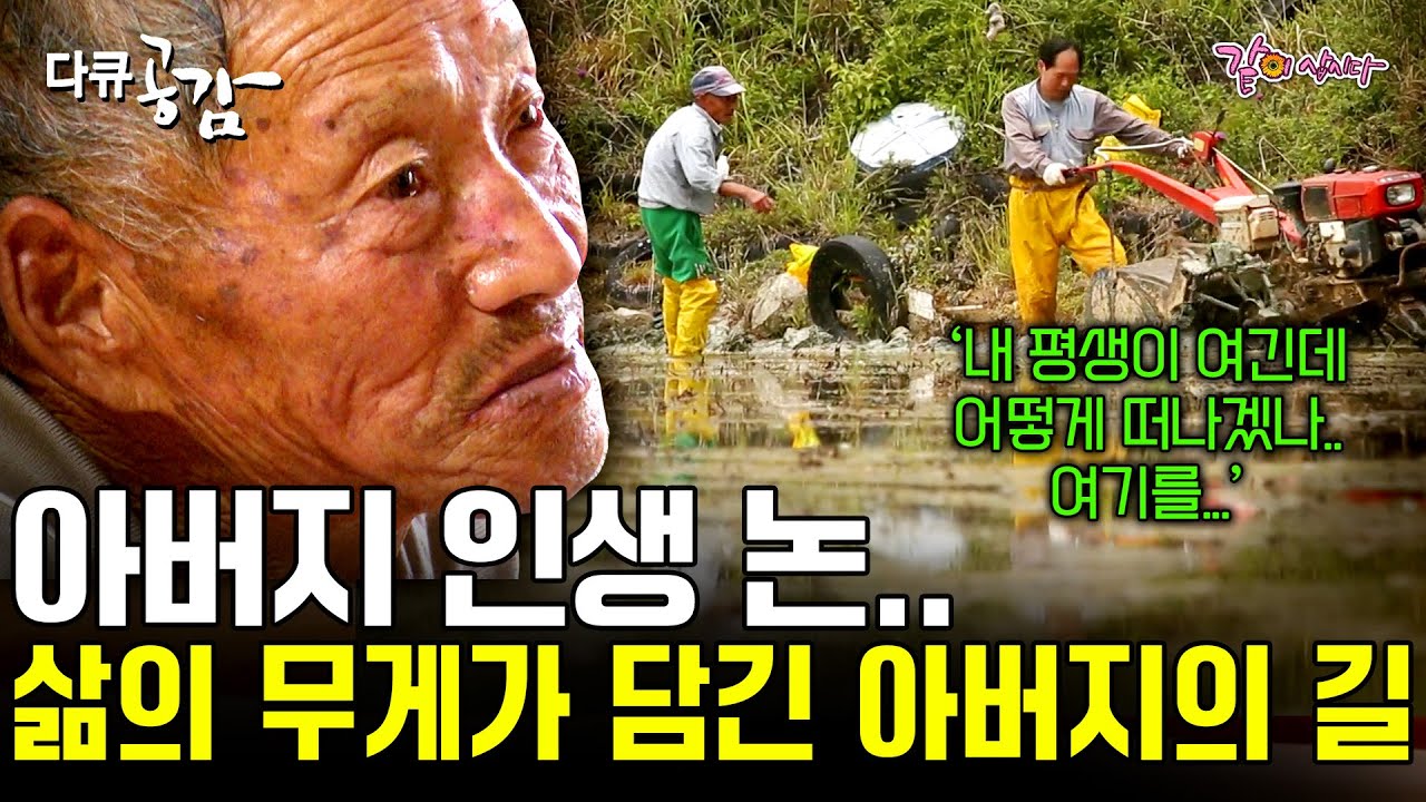 [다큐공감] 아버지처럼 살기 싫어 섬을 떠났던 아들. 이제는 서로를 이해하며 아버지와 같은 길을 걸으려 한다..ㅣKBS 2017.05.06