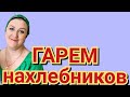 Деревенский дневник очень многодетной мамы - гарем нахлебников