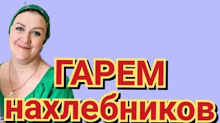 Деревенский дневник очень многодетной мамы - гарем нахлебников