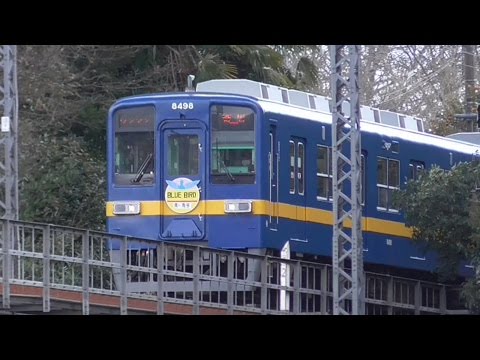 東武東上線 8198Fもブルーバード号で運行！】東武東上線 ワンマン8000