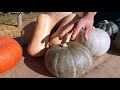 Quali sono le varietà di zucca più buone e conosciute?