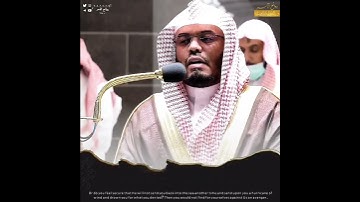 {ثم لا تجدوا لكم وكيلا}•|•تلاوة حجازية عطرة لا توصف للشيخ #ياسر_الدوسري