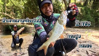 วันนี้วันของน้าเขาหมานจริงๆ ตีเป็นโดนสงสัยเหยื่อเขาจะหมาน EP52 #fishing #ธรรมชาติ #ปลาธรรมชาติ